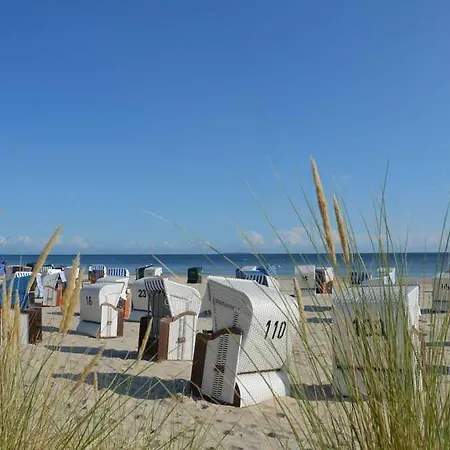 Albatros Dom wakacyjny