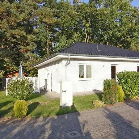 Dom wakacyjny Albatros *